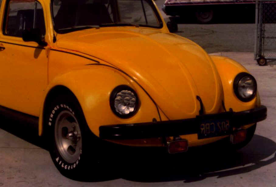 BFWSWB.jpg (87778 bytes)